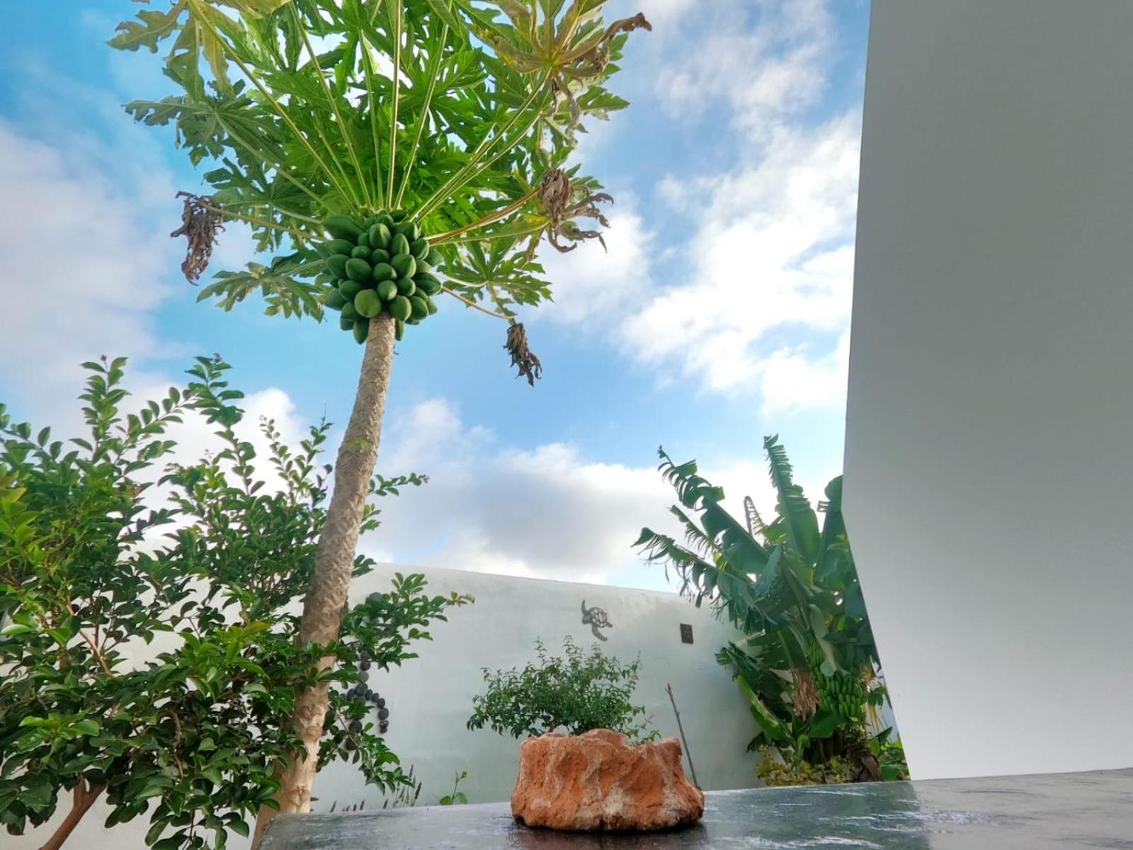 Jardin Del Mar Lägenhet Tinajo Exteriör bild